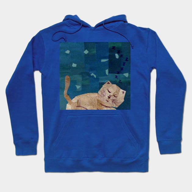 Sleeping Kitty Hoodie by cajunhusker